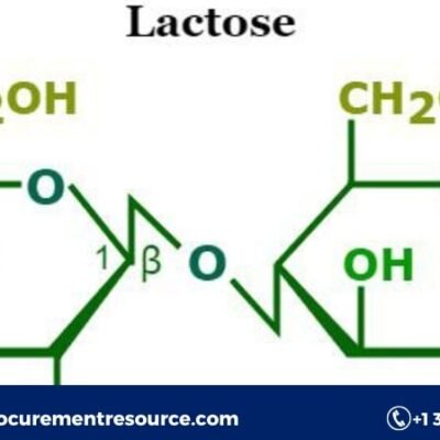 Lactose Production Cost