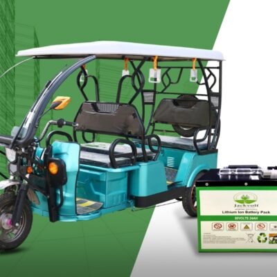 electric rikshaw battery