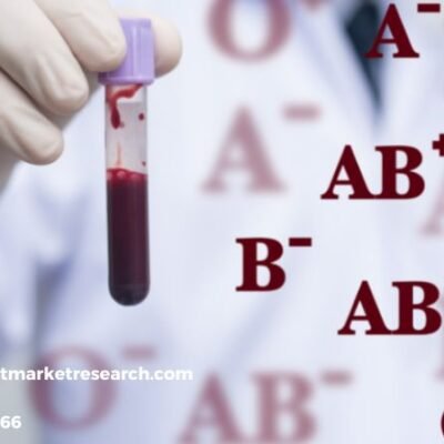 Blood Group Typing Market