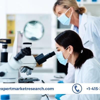 Clinical Laboratory Services Market 