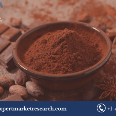 Cocoa Processing Market