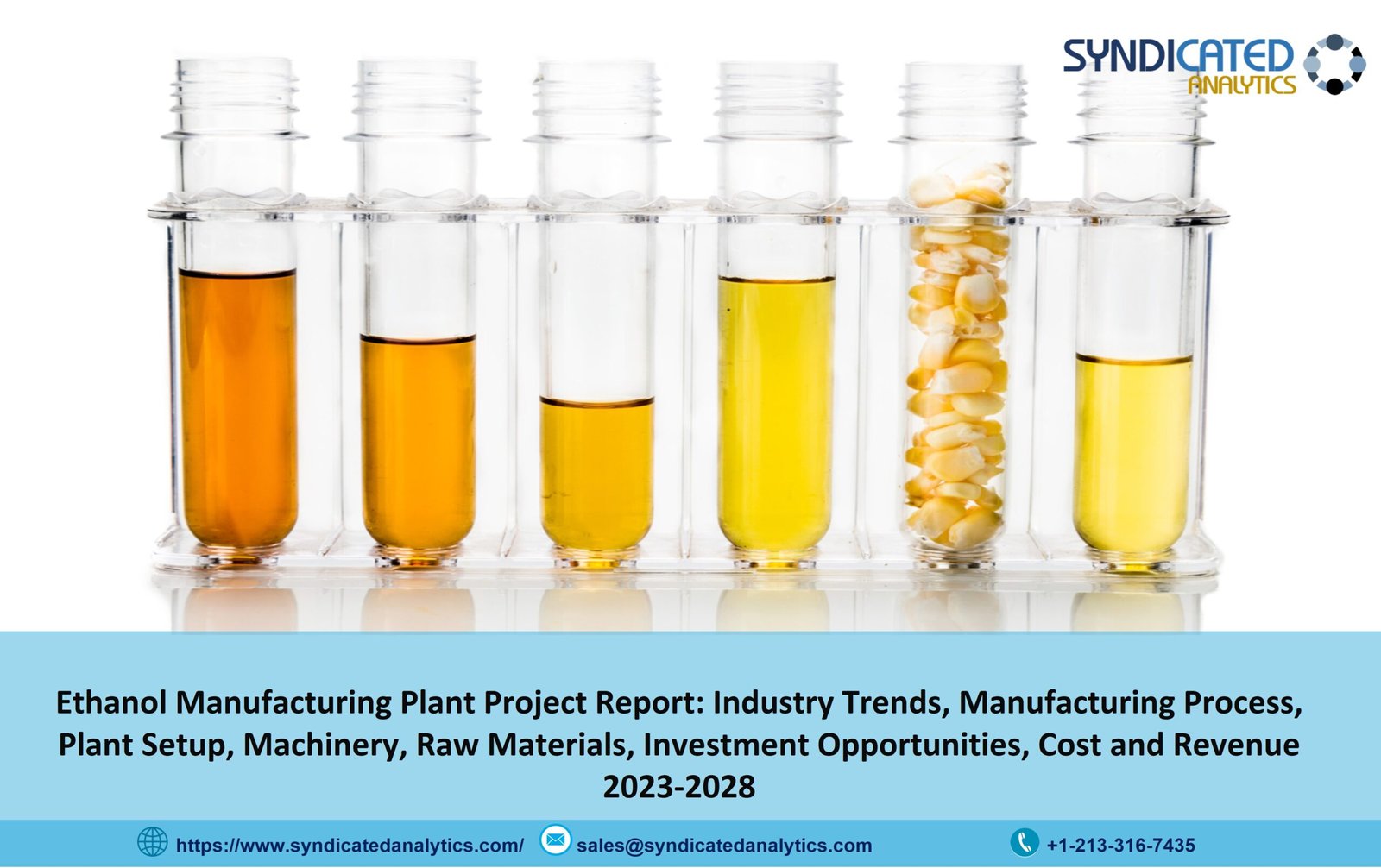 Ethanol Production Plant Project Report 2023: Plant Cost, Raw Materials