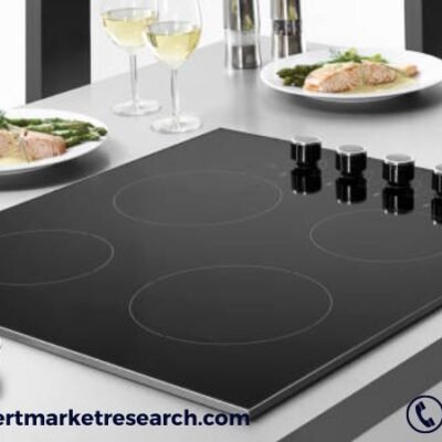 Induction Stove Market