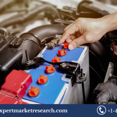 Light Vehicle Batteries Market