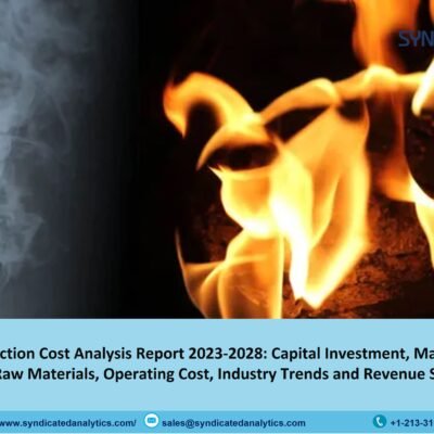 Syngas Production Cost Analysis Report