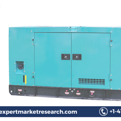 Variable Speed Generator Market Size