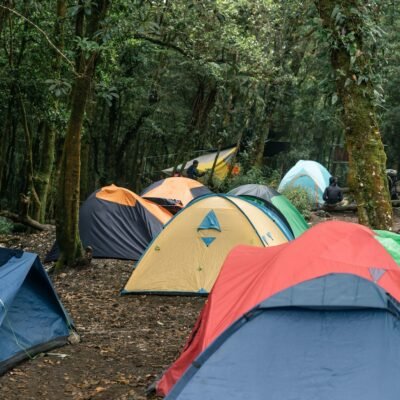 gazebos in NZ