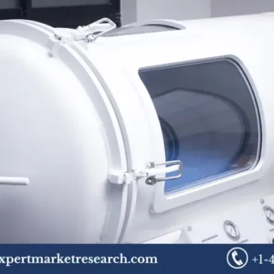 Hyperbaric Oxygen Therapy Market