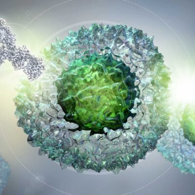 Immune Checkpoint Inhibitors Market