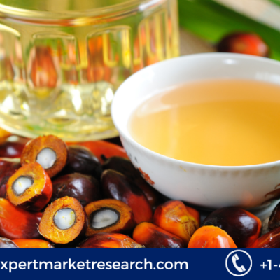 Palm Kernel Oil Market Price