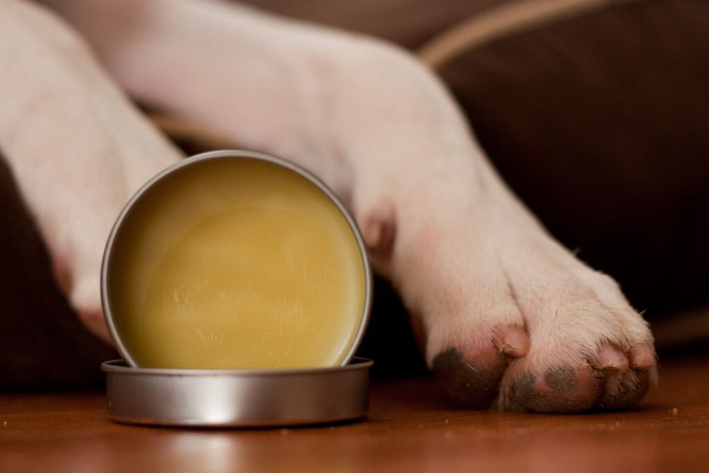 Best Paw Balm For Dogs