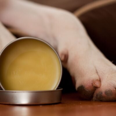 Best Paw Balm For Dogs