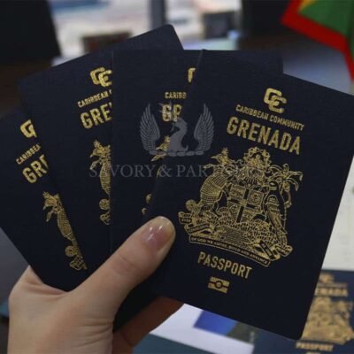 Indian visa for Ghanaian and Grenadian citizens